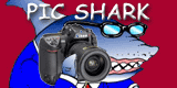 Pic Shark